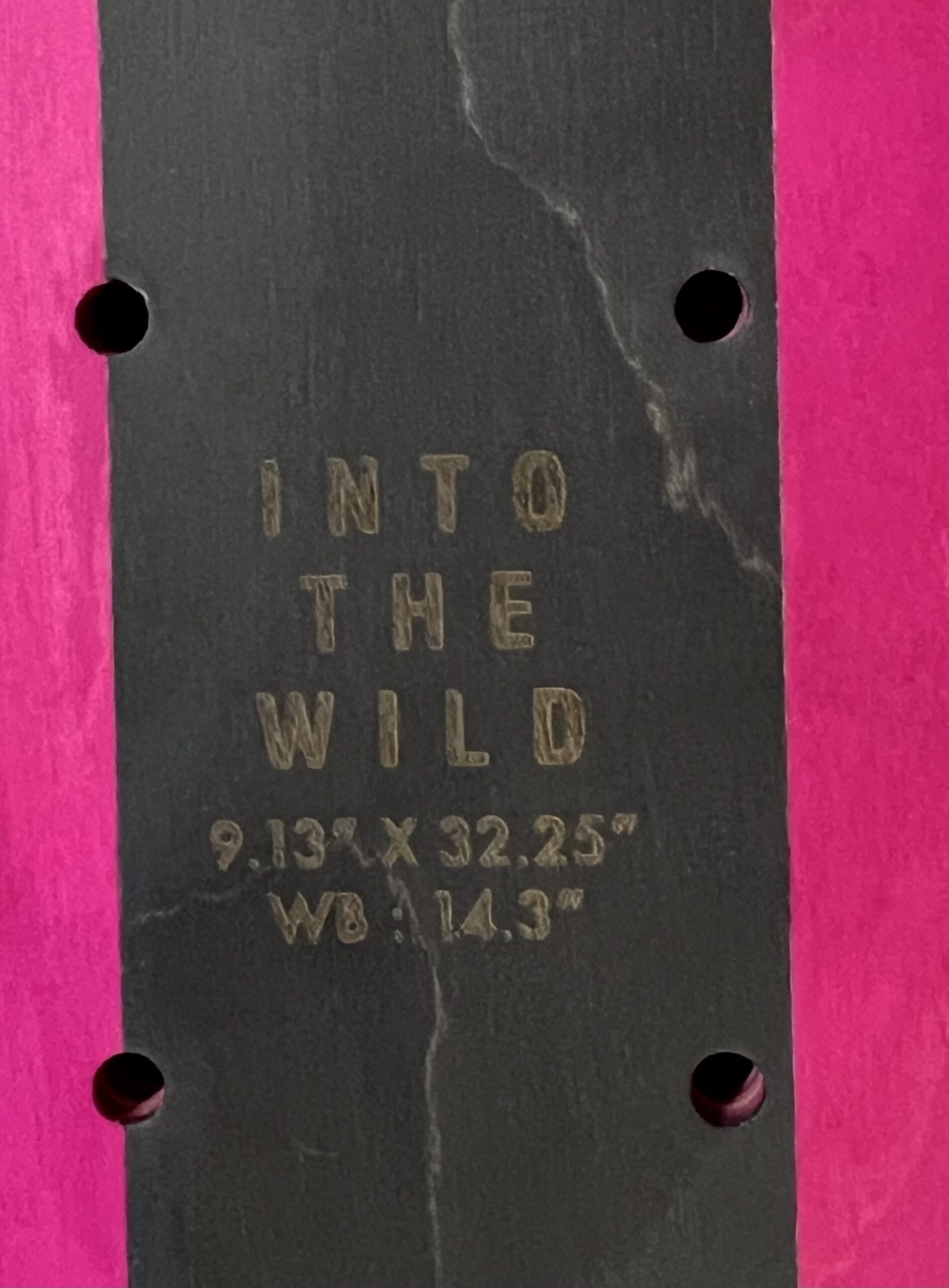 Skateboard Into The Wild Daclin 9.1 – Image 3